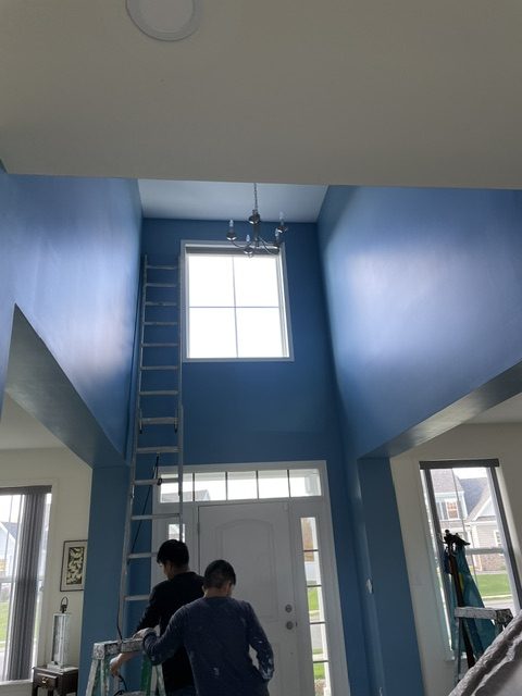 Paint8